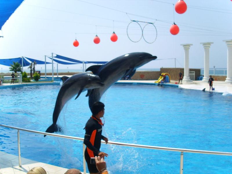 alanya-dolphin-park2